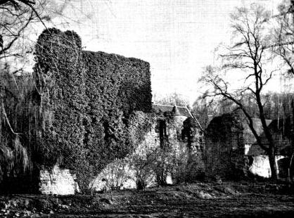 Ruine Burg Heyden