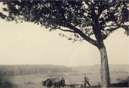 WPGeorg im Wurmtal Wurmtal