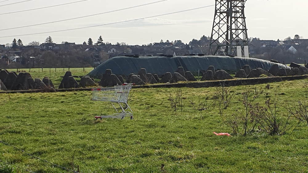 was zu sehen ist (33 von 37) Westwall, Nähe Pannesheide, 2021